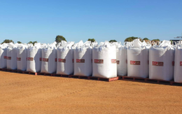 Hàng trăm nghìn tấn hàng của Việt Nam vừa đổ bộ Campuchia: Được mệnh danh ‘cứu tinh’ cho láng giềng, nước ta có sản lượng 8 triệu tấn mỗi năm