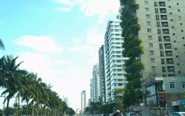 Thêm khách sạn ven biển Đà Nẵng bị phạt nặng