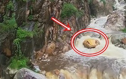 'Trăn khổng lồ' giữa suối khiến du khách hoảng sợ, ban quản lý nói: Nó đã ở đây hàng trăm triệu năm