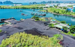 Thông tin về bàn giao đất cho dự án điện khí hơn 2,2 tỷ USD ở Quảng Ninh