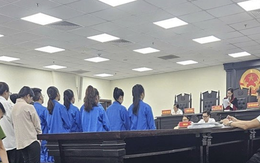 "Ông trùm" lập hàng chục công ty ma lừa đảo liên quan đến Mr Pips lĩnh án