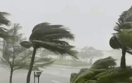 Siêu bão Ragasa mạnh nhất 2025 sắp đổ bộ đất liền: Người lao động khu vực ảnh hưởng có được nghỉ làm không?