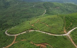 Kế hoạch mở đường đồ sộ ở Đà Nẵng, Huế và Quảng Trị