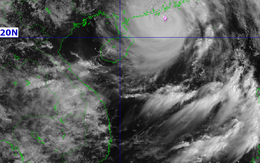 Hưng Yên thông báo khẩn
