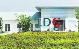 Đầu tư LDG bị HoSE nhắc nhở do chậm công bố thông tin