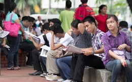 Hồ sơ hưởng trợ cấp thất nghiệp tại Hà Nội giảm mạnh