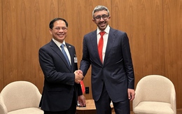 Việt Nam coi trọng hợp tác với UAE - trung tâm kinh tế, tài chính hàng đầu thế giới