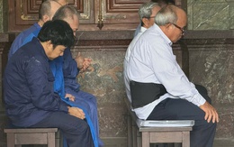 Cựu Giám đốc Công ty Đại Thành cùng đồng phạm gây thiệt hại nặng nề cho BIDV Tây Sài Gòn