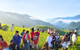 Cảnh tượng diễn ra giữa ruộng bậc thang Mù Cang Chải khiến nhiều người ngỡ ngàng: Hoá ra đây là lý do homestay thi nhau "cháy" phòng