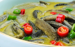 Loại cá được ví như “nhân sâm dưới nước”, giàu protein hơn cá hồi, canxi gấp gần 3 lần sữa bò