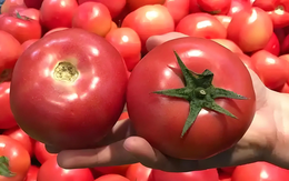 6 loại rau mùa thu ít dinh dưỡng lại dễ hại sức khỏe, ngay cả người bán cũng tránh xa