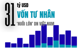 31 tỷ USD 'nuôi lớn' Masan, Tiki, EQuest, Golden Gate... trong 1 thập kỷ từ dòng vốn tư nhân