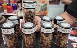 Giá cà phê hôm nay 24-9: Giảm rất mạnh