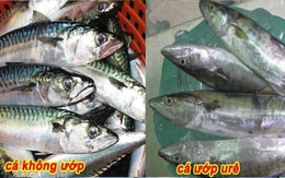 Cá bị ướp urê, hàn the thường có 6 đặc điểm này: Bán rẻ tới mấy cũng chớ mua về ăn