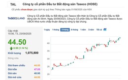 Ngược dòng thị trường, TAL hút vốn của các NĐT Nước ngoài