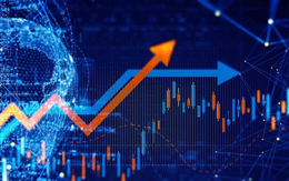 Nâng hạng thị trường: Blue-chip Việt vươn ra sân chơi toàn cầu