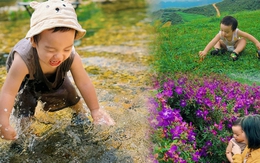 Chuyến xê dịch "đu trend" đồi hoa sim Suối Bon Vân Hồ ở Mộc Châu của phượt thủ măng non 2 tuổi