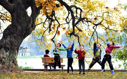 Ngang hàng Kyoto và Nami, thành phố duy nhất của Việt Nam lọt Top 7 điểm đến mùa thu đẹp nhất châu Á