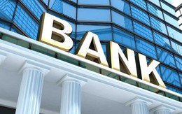 Ngân hàng lớn nhất sàn chứng khoán chuẩn bị trả cổ tức tiền mặt lần đầu tiên sau gần 4 năm, sẽ chốt quyền vào đầu tháng 10