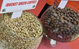 Giá cà phê hôm nay 25-9: Arabica, Robusta quay đầu tăng vọt