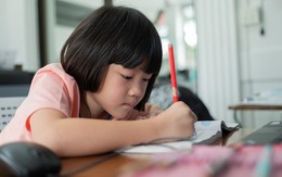 Sự thật tàn nhẫn phía sau lời khen “Con thật thông minh”: Đọc xong xin đừng nói với trẻ nữa