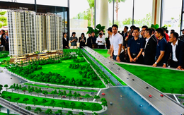 Sau sáp nhập vào TPHCM, chiến lược giãn dân ra "đô thị vệ tinh" khiến căn hộ Bình Dương (cũ) tăng nóng