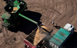 Quyết đoạn tuyệt mặt hàng then chốt của Mỹ, nền kinh tế 18.000 tỷ USD lập tức đặt mua 1,3 triệu tấn từ nhà cung cấp khác chỉ trong 2 ngày nhờ miễn thuế xuất khẩu