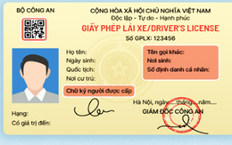 Quy định mới về cấp lại giấy phép lái xe đã hết hạn