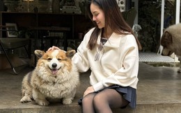 Nhan sắc vợ chưa cưới kém 16 tuổi của nam nghệ sĩ từng hủy hôn diễn viên Ngọc Lan