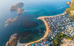 Việt Nam ngồi trên "kho báu" khổng lồ: Mỗi năm có thể thu về 1,9 tỷ USD từ thị trường toàn cầu