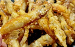 Đi chợ mua cá, nhớ kỹ 4 loại này toàn hàng “xịn”, dinh dưỡng cao, lại không thể nuôi nhân tạo, gặp là nên mua ngay