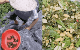 Không phải dê núi và cơm cháy, thứ "mọc từ đá" này mới là món ăn gây thương nhớ nhất Cố đô