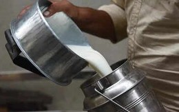 Đột kích một cơ sở, công an triệt phá đường dây sản xuất sữa giả suốt 20 năm, tịch thu loạt hóa chất kali, sorbitol và máy pha trộn công nghiệp