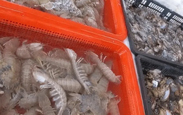 4 thực phẩm dễ bị pha tạp nhất chợ, mua không chú ý nhận về toàn hàng giả