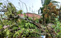 Biển Đông đón bão số 10 Bualoi giật cấp 15, hướng đất liền Thanh Hoá-Quảng Trị