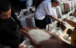 Buồn của quốc gia Đông Nam Á là 'khách ruột' của gạo Việt: Người dân bàng hoàng vì giá đắt đỏ, nguồn cung gạo chất lượng cao khan hiếm