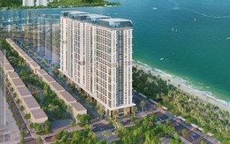 Tại sao tổ hợp căn hộ Sun Group Bãi Cháy hút khách khi vừa ra mắt?
