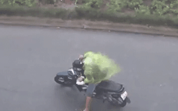 "2 cơn bão số 9 và số 10 liên tiếp đổ vào nước ta là tình huống đặc biệt nguy hiểm"