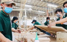 Sau Nghị quyết 68, mỗi tháng có hơn 19.000 doanh nghiệp thành lập mới