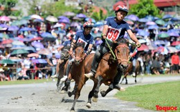 Đã có dự thảo về cá cược đua ngựa, hiện tại Việt Nam đang có trường đua ngựa nổi bật nào?