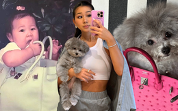 TikToker làm nghề "con gái nhà giàu": 3 tuổi ngồi trong túi Hermès, lớn lên chỉ nuôi chó vừa size Birkin 35