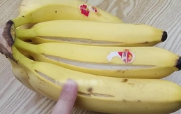 Khi mua chuối, người sành sỏi nhìn thấy 4 dấu hiệu này sẽ quay người bỏ đi ngay: Dù rẻ đến đâu cũng đừng mua!