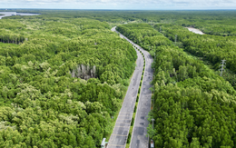 3 năm nữa từ TP.HCM đi Cần Giờ chỉ mất 15 phút, nhanh hơn ra sân bay, không bao giờ lo tắc đường