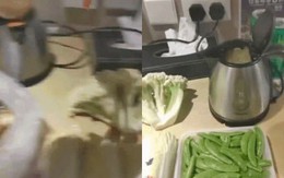 Cả đời cũng không dám dùng ấm siêu tốc của khách sạn khi thấy cảnh nấu lẩu, nhúng thịt đáng sợ của vị khách này!