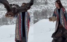 Chú chim đầu tiên được lên hot search xứ Trung vì thái độ cực gắt với du khách