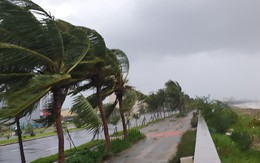 Bão số 10 Bualoi sắp đổ bộ: Ít nhất 4 địa phương cho học sinh nghỉ học ngày mai