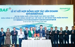 BAF bắt tay Muyuan trong dự án nuôi heo nhà cao tầng 12.000 tỷ đồng