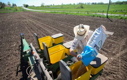 Đặt 6,5 triệu tấn hàng rồi 'quay xe', quốc gia BRICS ra đòn trực diện, khiến cả một ngành của Mỹ 'như ngồi trên đống lửa' vì không biết bán cho ai