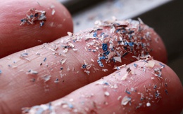 Top 2 loại củ quả đứng đầu danh sách nhiễm vi nhựa nhưng người Việt vẫn vô tư ăn hàng ngày