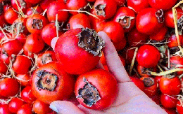 Đừng lầm tưởng! 3 loại trái cây nhiều người ăn để giảm cân lại khiến đường huyết tăng vọt